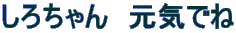 낿@Cł 