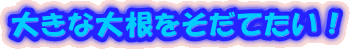 大きな大根をそだてたい！ 