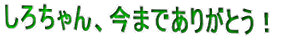 낿A܂ł肪ƂI