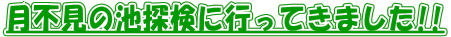 s̒rTɍsĂ܂!! 
