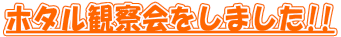 z^ώ@܂!! 