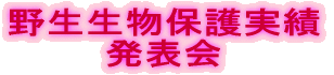 쐶ی \