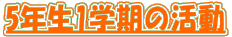 5N1ẘ